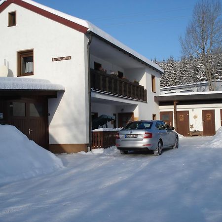 Haus Steinwaldblick Apartamento Bernlohe  Exterior foto